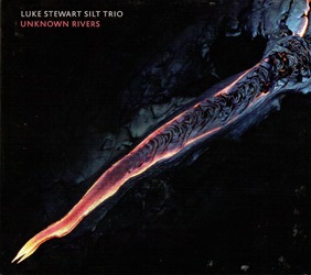 STEWART LUKE :  UNKNOWN RIVERS  (PI RECORDINGS)

Unknown Rivers  il debutto del bassista Luke Stewart per letichetta Pi Recordings. Vera e propria forza dellattuale scena musicale avantgarde e jazz, Stewart  leader e co-leader di varie band tra le quali Irreversible Entanglements, lExposure Quintet, Blacks Myths, Heart of the Ghost e Remembrance Quintet. Definito dalla rivista DownBeat come uno dei venticinque artisti che hanno plasmato il jazz per decenni, Stewart  anche un musicista molto richiesto che ha collaborato con artisti del calibro di David Murray, Archie Shepp, Wadada Leo Smith, Nicole Mitchell, Moor Mother, Jaimie Branch, Nate Wooley, William Hooker, Marshall Allen, Gary Bartz, Billy Hart, Shabaka, Hamid Drake e innumerevoli altri. Il nuovo disco del bassista propone il suo storico Silt Trio composto da Brian Settles al sax tenore e i batteristi Warren Trae Crudup nelle tracce in studio 1-4 e Chad Taylor nelle tracce 5-7 dal vivo. Il nome della band  ispirato alla costa del Golfo del Mississippi e ai fiumi che la attraversano in cui Stewart ha vissuto la sua infanzia ed  anche una metafora del flusso indeterminato di idee che si sedimentano e che finiscono per dare vita alla musica. Diversamente da alcuni album precedenti, la band si allontana dallimprovvisazione aperta preferendo una forma compositiva con maggiore enfasi sullacutezza ritmica. Come afferma Stewart nelle note di copertina dellalbum: E nel ritmo che lo Spirito si definisce, che il Mistero si rivela. Stewart  il maestro di un groove ampio e profondo che ammortizza e spinge e nelle vesti di leader  capace di mettersi servizio del gruppo. Il trio ha un modo di suonare vagamente colloquiale, con un evidente rispetto condiviso per la musica che secondo Stewart  radicata nello spirito, nel rispetto per i ritmi africani e punta sempre a quel sentimento naturale. Con tutti originali del bassista, Unknown Rivers  quella magica giustapposizione tra suonare con cruda spontaneit senza ma senza mai perdere di vista lintento e lo scopo della musica.