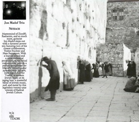 MADOF JON :  NETZACH  (TZADIK)

Spectrum Series (file under Jewish/rock). Jon Madof, Yoshie Fruchter, Nate Rappaport, Moshe Sobol. Mente creativa di Zion80, Rashanim e molte altre formazioni, il chitarrista Jon Madof si presenta con un dinamico power trio che include due dei suoi pi� stretti collaboratori, Yoshie Fruchter e Nate Rappaport. Con un sound pi� pesante e una produzione pi� orchestrale, queste composizioni liriche offrono un trampolino di lancio perfetto per le pirotecnico virtuosismo alla chitarra di Madof. �Netzach�, l'ottavo cd di Jon per Tzadik, � musica ebraica moderna al suo meglio, una magistrale fusione di musica ebraica, surf e metal da parte di questo leggendario veterano ventennale della cultura ebraica radicale.