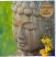Various :  Buddha 2 (cd Card)  (Paradise)