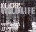 Morris Joe / Cancura Petr / Gray Luther :  Wildlife  (Aum Fidelity)
