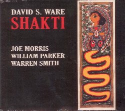 WARE DAVID S. :  SHAKTI  (AUM FIDELITY)

